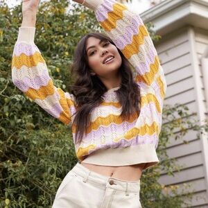 Princess Highway NWOT size 8 scalloped chevron cropped sweater